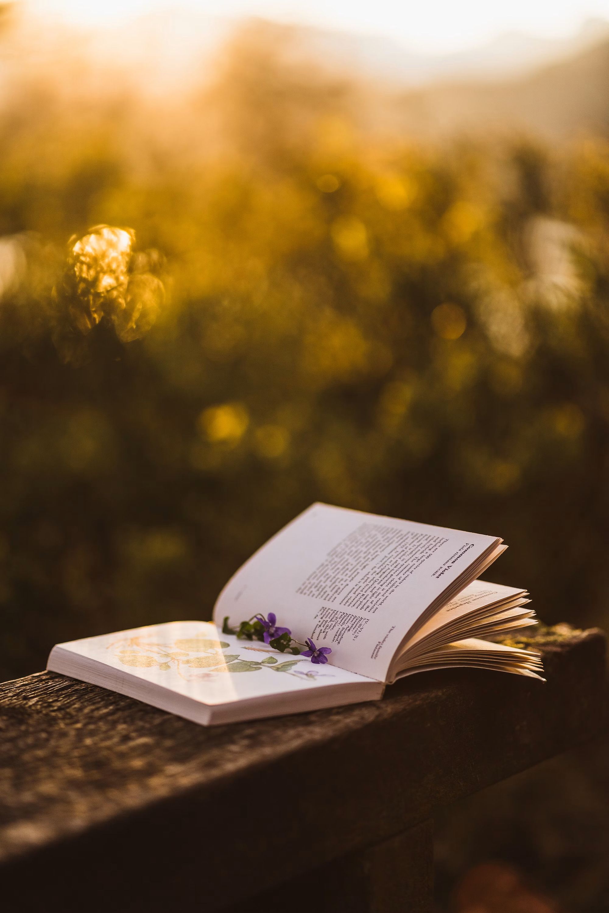 An open book resting on a wooden railing in golden evening light