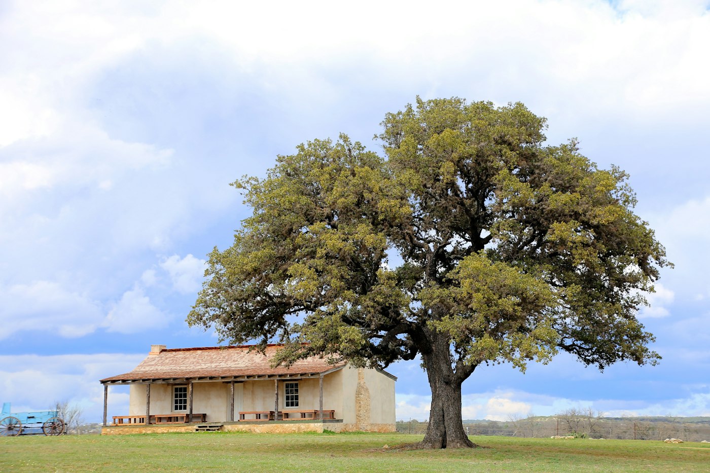 A ranch house with oak trees (sample photo)